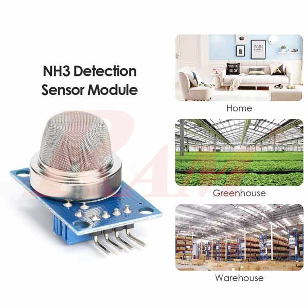MQ-137 Sensor Ammonia Detection Sensor NH3 Gas Sensor Module