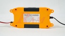 FLA-10A 12V/24V AUTO Intelligent Battery Charger & Pulse Repair