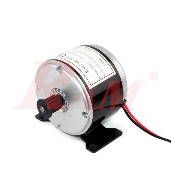 MY1016 High Speed Belt Motor 24Vdc 250W Electric Scooter Conversion Kit