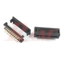 IDC IC Male 2.54mm 20pin (2x10)