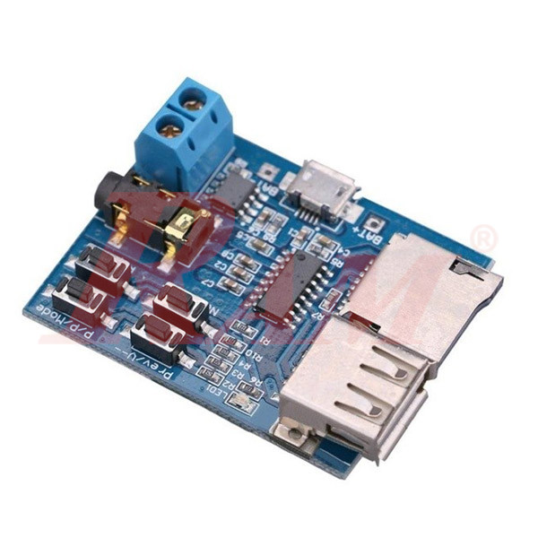 U-Disk & TF Card MP3 Decoder Board Player With Amplifier